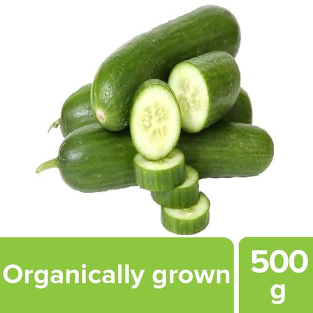 Fresho English Cucumber - Organically grown (Loose), 500 g 