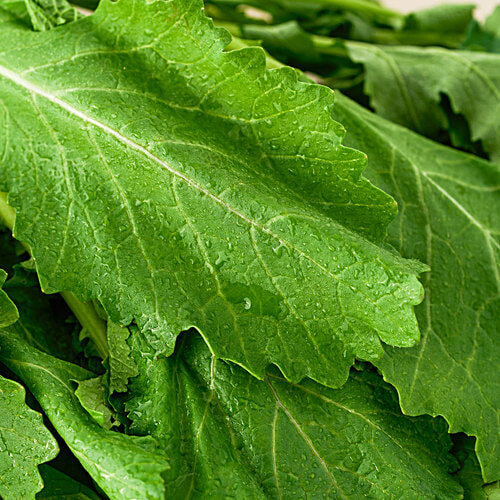 fresho! Mustard Leaves (Sarso Saag), 500 g  Rich in Fiber & Antioxidants