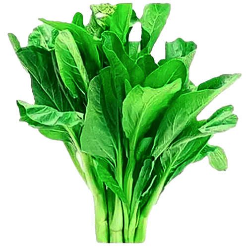 Buy Fresho Mustard Leaves Sarso Saag 250 Gm Online at the Best Price of