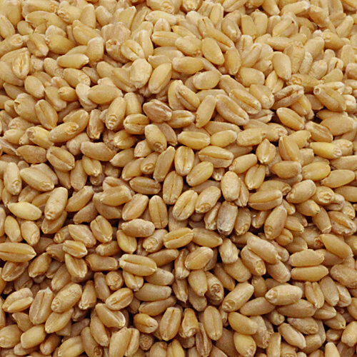 bb Royal Sihor - Wheat, 10 kg  
