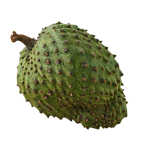 fresho! Soursop, 1 pc 400 - 800g Rich in Fiber