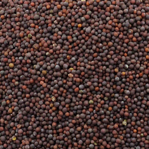 bb Royal Organic - Mustard/Sorsha/Rai, Small, 200 g  