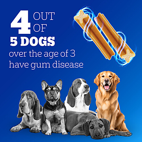 Pedigree Dentastix Dog Treat Daily Oral Care For Adult - Small, 5-10 kg, Monthly Pack, 440 g (28 Sticks) Triple Action, Supports Gum Health