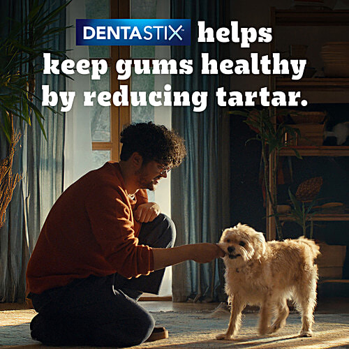 Pedigree Dentastix Dog Treat Daily Oral Care For Adult - Small, 5-10 kg, Monthly Pack, 440 g (28 Sticks) Triple Action, Supports Gum Health