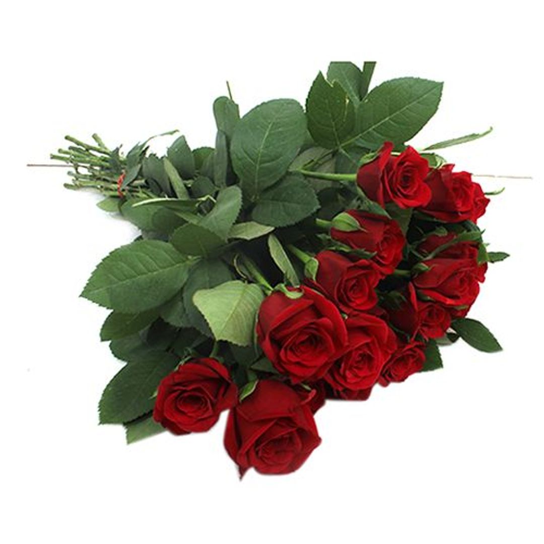 Fresho Roses - Dutch Red, 20 pcs 