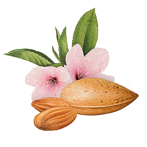 BIOTIQUE Almond Oil Nourishing Bathing Bar, 75 g  Organically Pure & Preservation Free