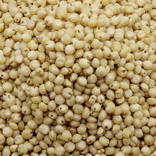 Buy Bb Royal Organic Jowar Millet 500 Gm Online At Best Price of Rs 38 bigbasket