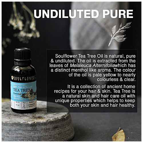 Soulflower Tea Tree Essential Oil - For Oily Acne Prone Skin & Dandruff, 100% Pure, 30 ml  Nature's Antiseptic