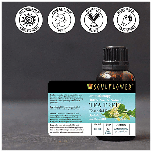 Soulflower Tea Tree Essential Oil - For Oily Acne Prone Skin & Dandruff, 100% Pure, 30 ml  Nature's Antiseptic