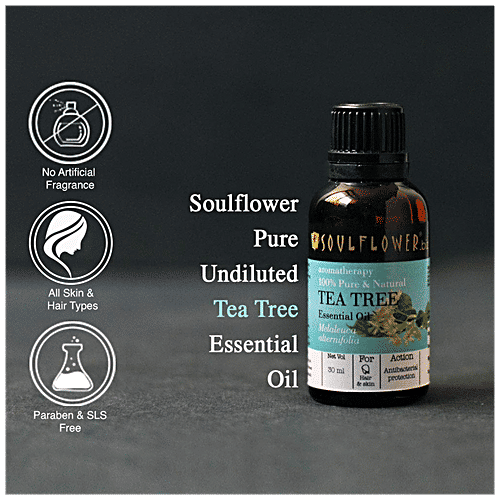 Soulflower Tea Tree Essential Oil - For Oily Acne Prone Skin & Dandruff, 100% Pure, 30 ml  Nature's Antiseptic
