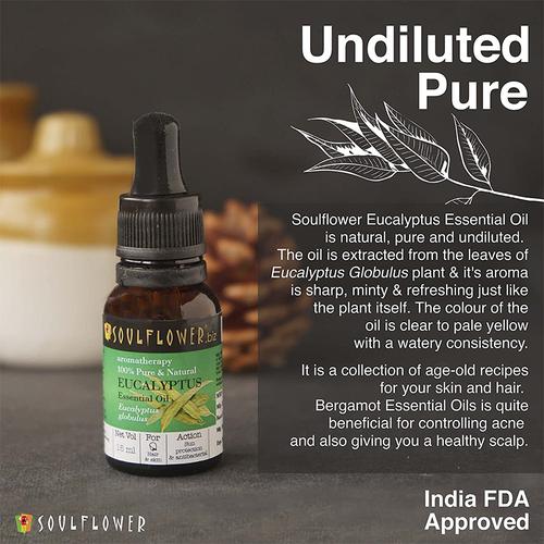 Soulflower Organic Nilgiri Oil, Eucalyptus Essential Oil For Pain Relief, Cold & Cough, Mosquito Repellant, 15 ml  