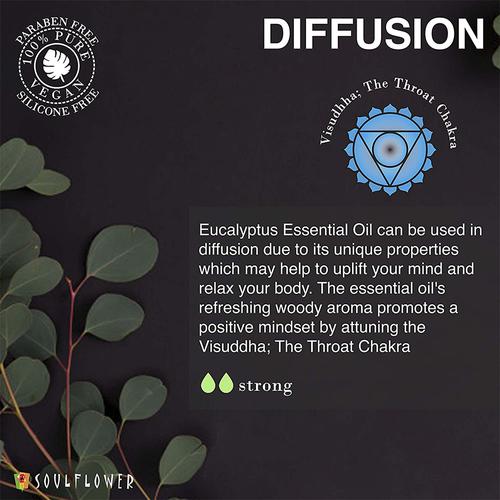 Soulflower Sun Protect Eucalyptus Essential Oil, 15 ml  