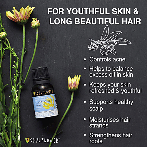 Soulflower Ylang Ylang Essential Oil, 15 ml  100% Pure