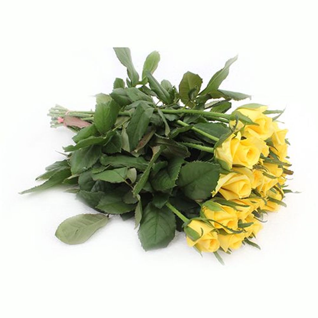 Fresho Roses - Dutch Yellow, 20 pcs 