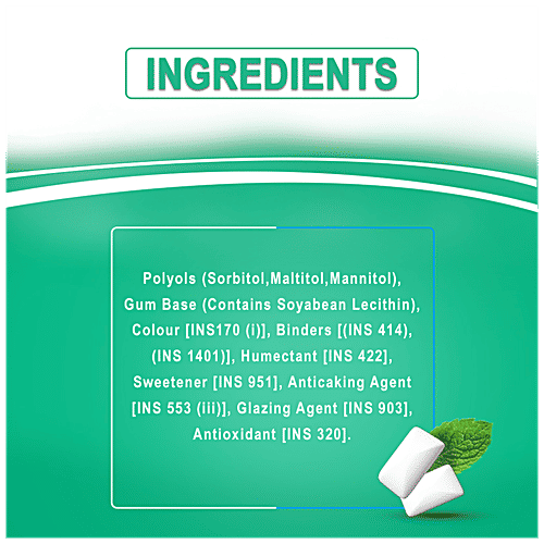 Orbit Sugar Free Chewing Gum - Spearmint, 8.8 g Sleeve 