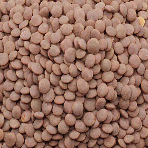 bb Royal Organic - Masoor Black Whole, 500 g  