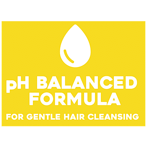 OGX Hydrate & Defrizz + Kukui Oil Shampoo, 385 ml  Sulfate Free Surfactants