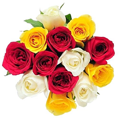 fresho! Cut Roses - Mixed Variants Premium, Institutional, 1 kg  