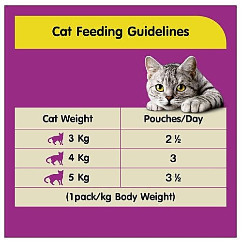 Whiskas Wet Cat Food - Chicken In Gravy, For Adult Cats, +1 Year, 85 g (Pack of 12) 