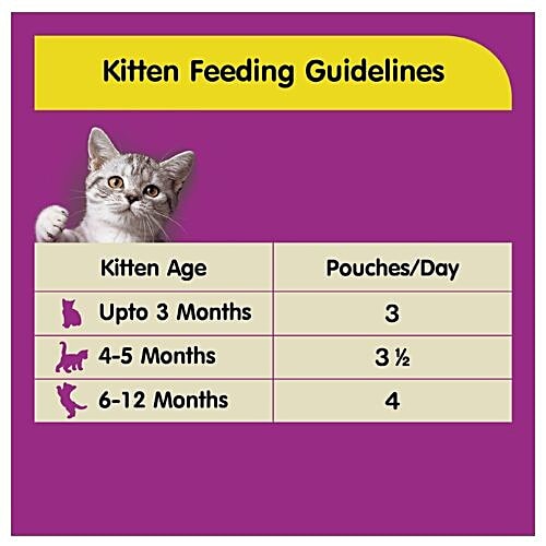 Whiskas Wet Cat Food - Chicken In Gravy, For Kittens, 2-12 Months, 85 g (Pack of 12) 