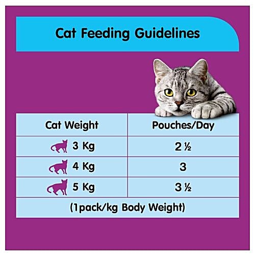 Whiskas Wet Cat Food - Tuna In Jelly, For Kittens, 2-12 Months, 85 g (Pack of 12) Complete & Balanced Nutrition