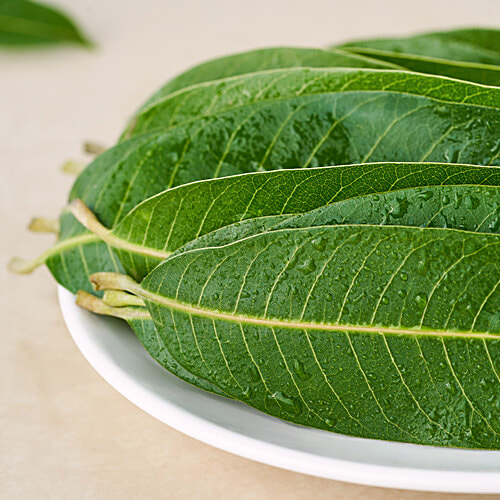 fresho! Mango Leaves, 5 pcs  