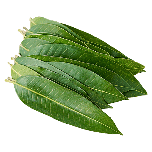 fresho! Mango Leaves, 5 pcs  