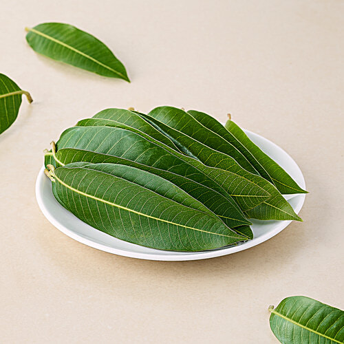 fresho! Mango Leaves, 5 pcs  