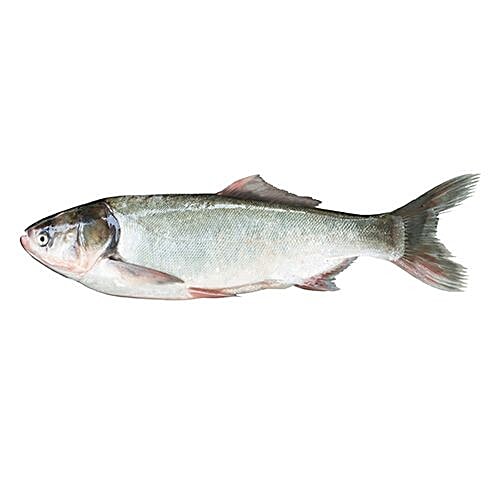 fresho! Silver Carp Fish, 900 g (24-30 pcs) 