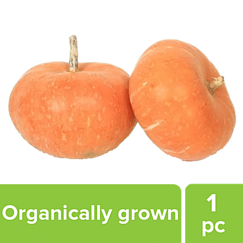 Fresho Pumpkin - Disco, Organically Grown, 1 pc  