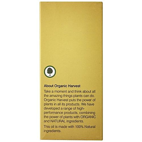 Organic Harvest Vetiver Essential Oil, 10 ml  