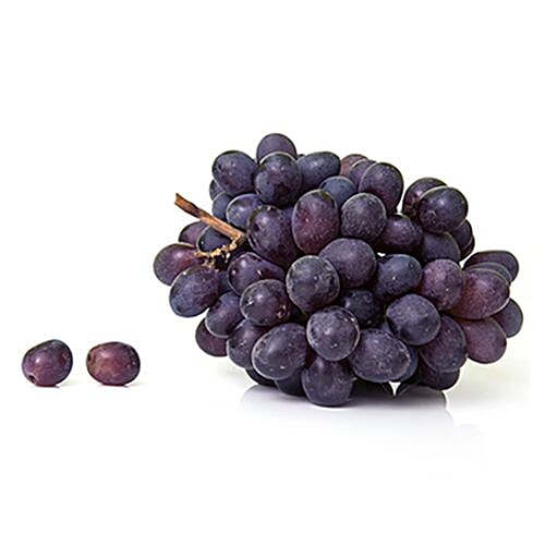 Buy Fresho Grapes Bangalore Blue Premium, Institutional Online at Best Price of Rs 999 bigbasket