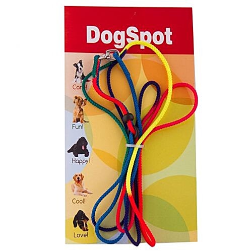 Buy Dogspot Pet Care Accessories Multi Color Dog Show Leash 1 Pc Online At Best Price of Rs null