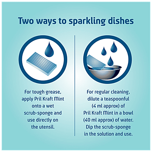 Pril Dishwash - Kraft, Perfect Active 2x, 425 ml Bottle 