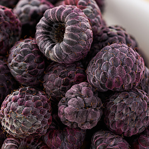 fresho! Raspberry, 100 g  