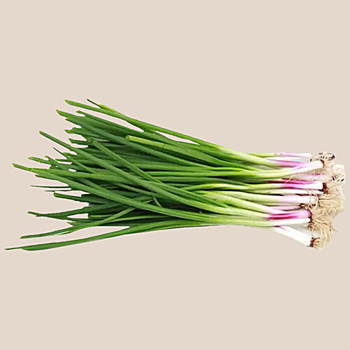 fresho! Spring Onion, Premium, Institutional, 1 kg