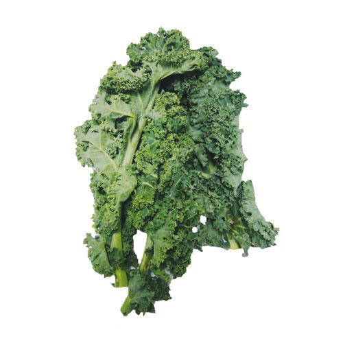 Fresho Kale - Curled, American, 1 pc 200 to 250 gm 