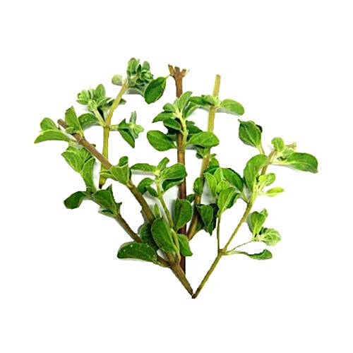 Buy Fresho Sweet Marjoram Online at Best Price of Rs null bigbasket