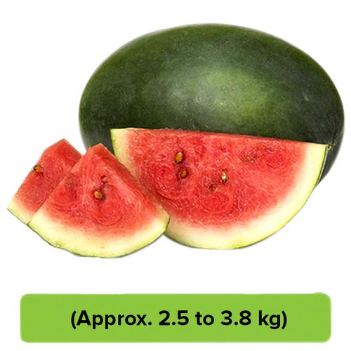 Fresho Watermelon -  Medium, 1 pc 2.8 - 4 kg 