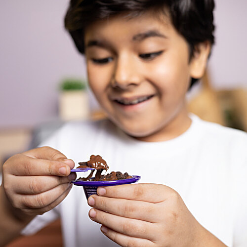 Cadbury Dairy Milk Lickables, 20 g  