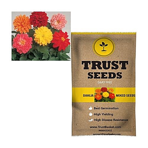 Buy Trust Basket Hybrid Mixed Seeds Dahlia 1 Gm Online At Best Price of
