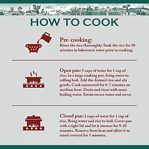 India Gate Basmati Rice/Basmati Akki - Regular Choice, 5 kg  Non-Sticky Grains