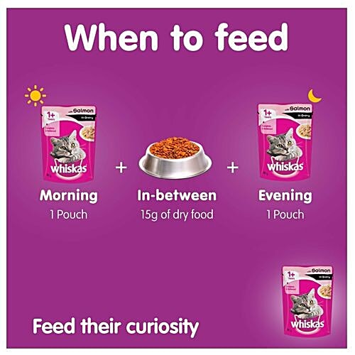 Whiskas Wet Cat Food - Salmon In Gravy, For Adult Cats, +1 Year, 85 g (Pack of 6) 