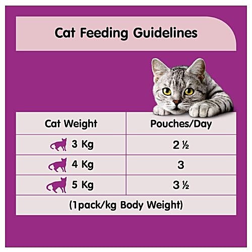 Whiskas Wet Cat Food - Salmon In Gravy, For Adult Cats, +1 Year, 85 g (Pack of 6) 