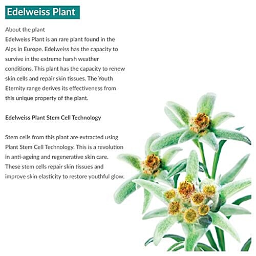 Himalaya Youth Eternity Under Eye Cream, 15 ml