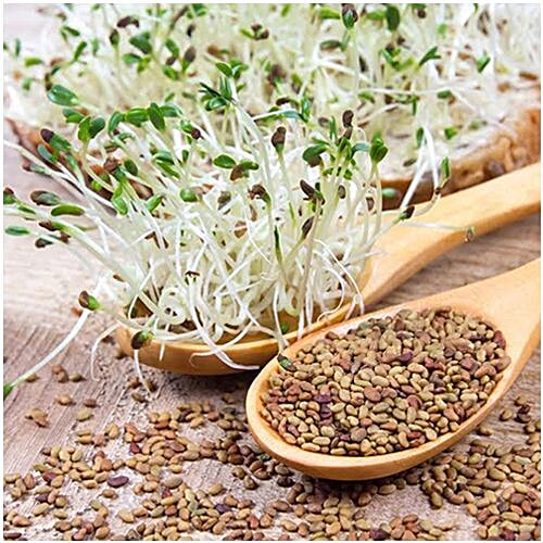 Nutty Yogi Alfalfa Seeds, 150 g  