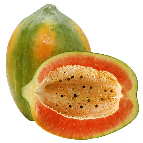 Fresho Papaya - Small, 1 pc 500 g - 900 g 