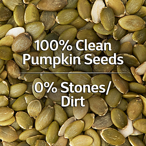 True Elements Raw Pumpkin Seeds, 250 g  High In Fibre & Protein