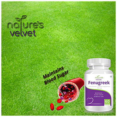 Buy Natures Velvet Fenugreek Extract 500 mg Vegetarian Capsules For