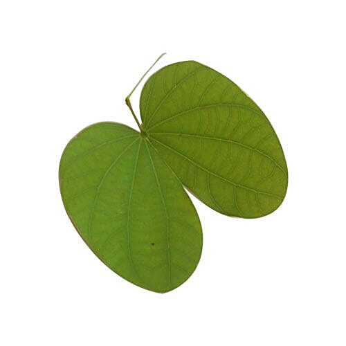 fresho! Aptyachi Pane - Dashera Special, 100 g  